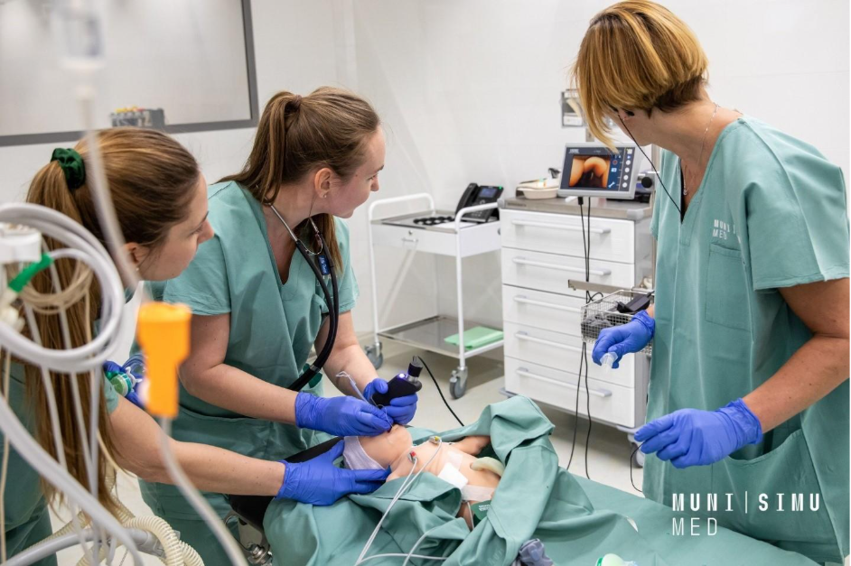 Simulation Working Group: Driving Innovation in Anaesthesiology Education Across Europe image 6