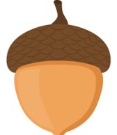 PARNET Acorn 1