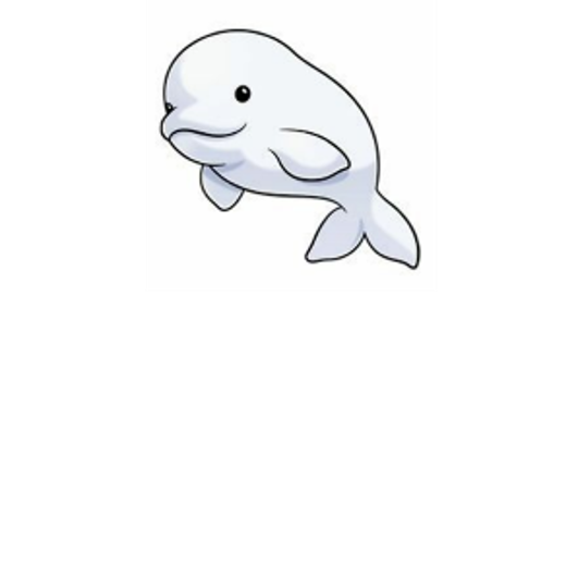 PARNET Beluga